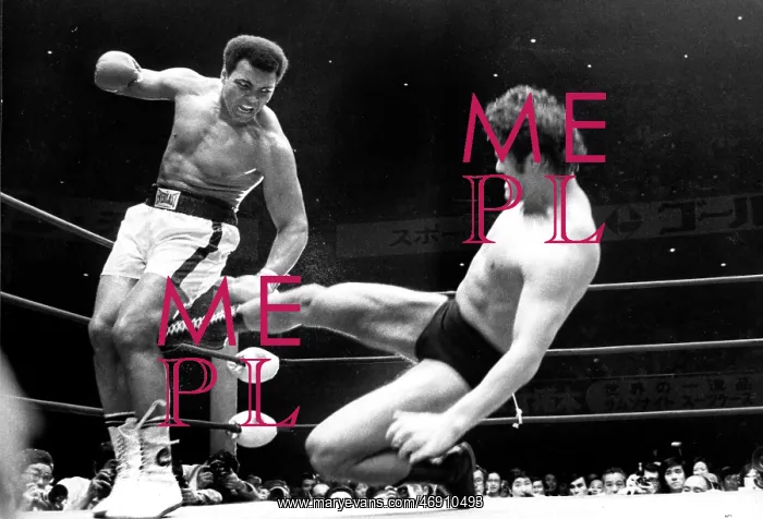 : ALI THE GREATEST - 1942 2016 : ALI THE GREATEST - 1942 2016