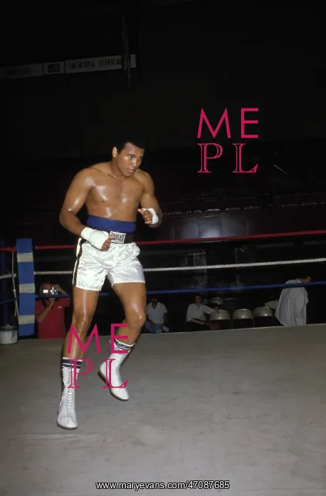 : ALI THE GREATEST - 1942 2016 : ALI THE GREATEST - 1942 2016