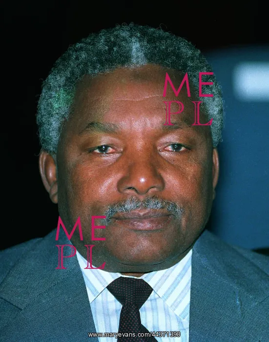  : Ali Hassan Mwinyi