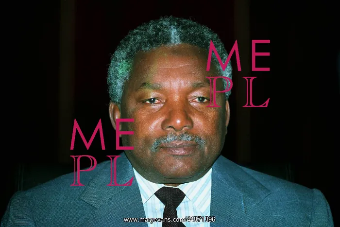  : Ali Hassan Mwinyi