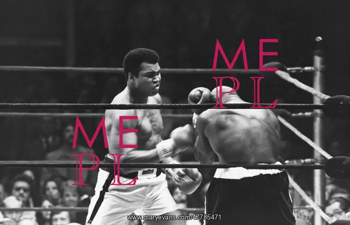 : Ali-Shavers Fight : Ali-Shavers Fight