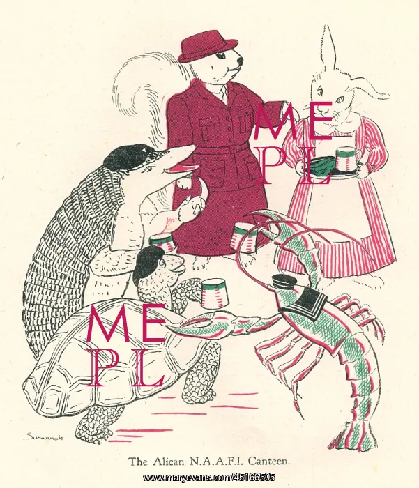 : Alican Land, N.A.A.F.I. Canteen : Alican Land, N.A.A.F.I. Canteen