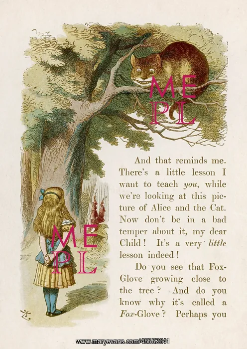 : Alice and the Cheshire Cat : Alice and the Cheshire Cat