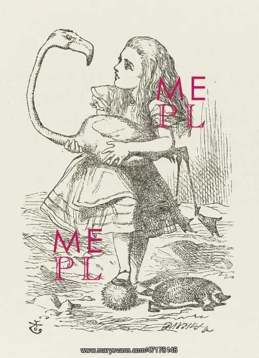 : Alice with the Flamingo : Alice with the Flamingo