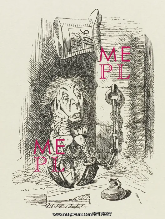 : ALICE / HATTER IN PRISON : ALICE / HATTER IN PRISON