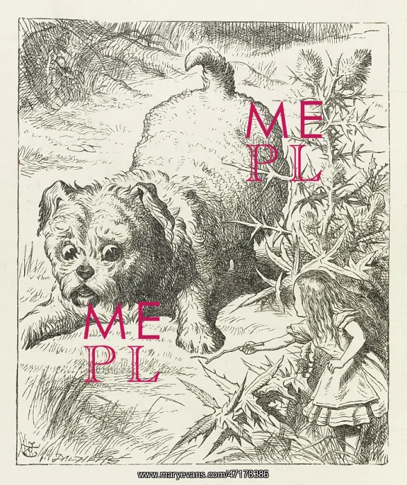 : ALICE & PUPPY : ALICE & PUPPY