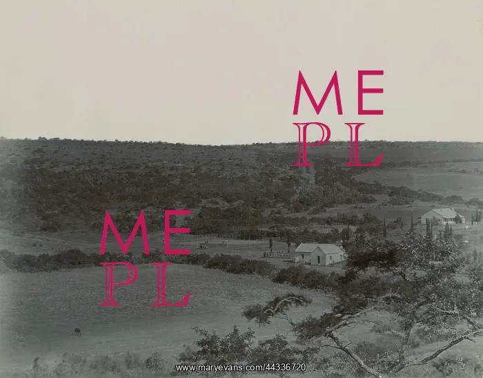: Alice. View showing outlying homesteads : Alice. View showing outlying homesteads