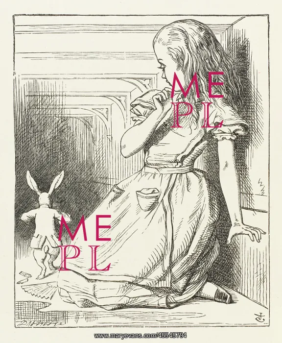 : Alice watches Rabbit : Alice watches Rabbit