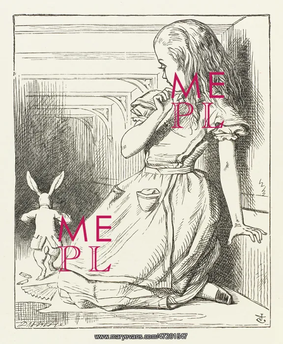 : Alice watches Rabbit : Alice watches Rabbit
