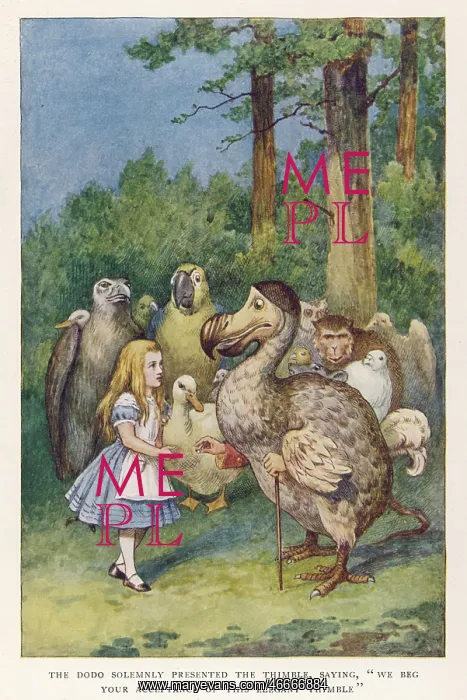 : Alice in Wonderland and the Dodo : Alice in Wonderland and the Dodo