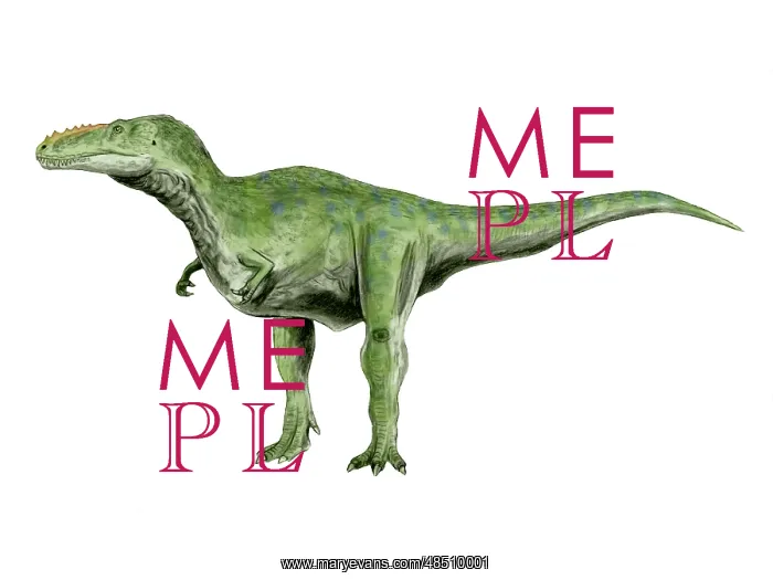 : Alioramus dinosaur : Alioramus dinosaur
