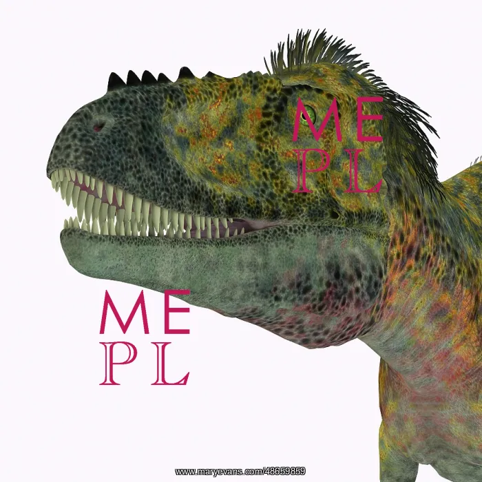 : Alioramus dinosaur head : Alioramus dinosaur head
