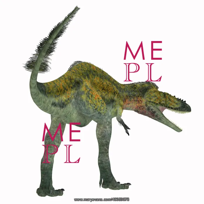 : Alioramus dinosaur, rear view : Alioramus dinosaur, rear view