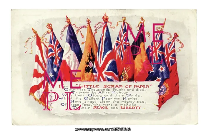 : All the flags of the Allies fanned out : All the flags of the Allies fanned out