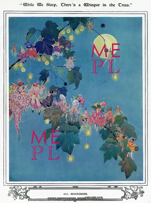 : All Moonshine, by Dorothy Wheeler : All Moonshine, by Dorothy Wheeler