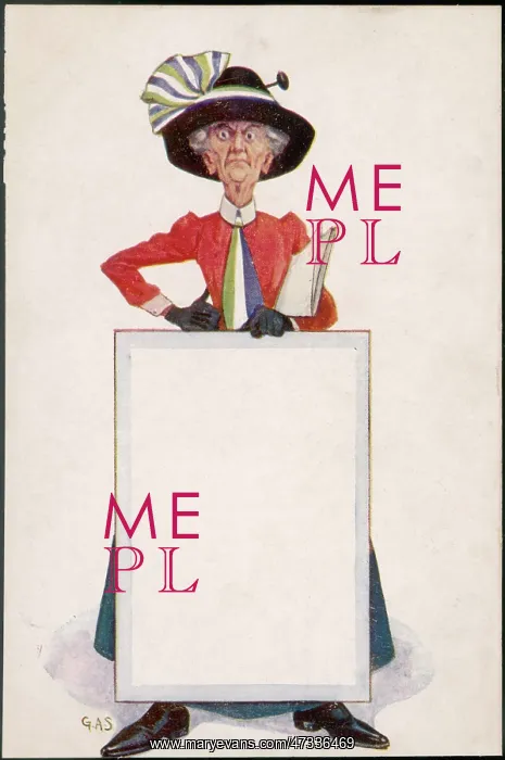 : ALL-PURPOSE FEMINIST : ALL-PURPOSE FEMINIST