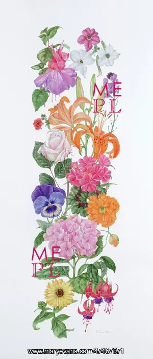 : All Summer Long ? flower design : All Summer Long ? flower design