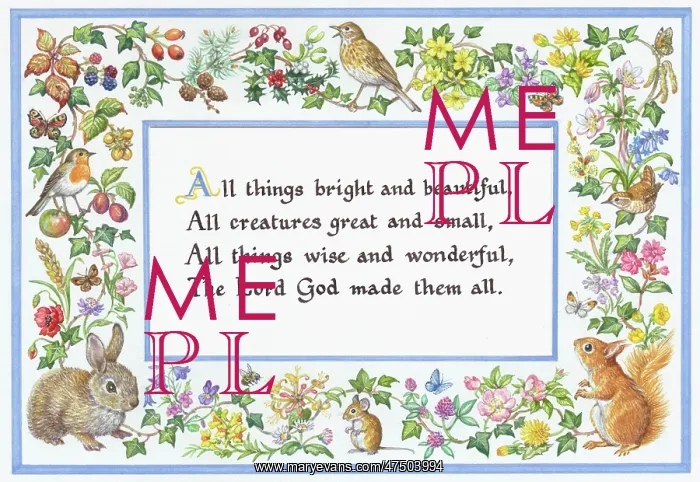  : All things bright and beautiful animals & flowers