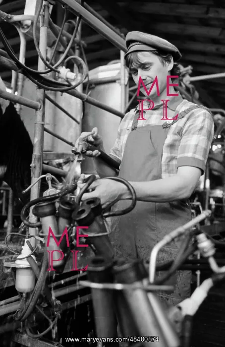 : All Union Competition of Machine Milking Operators : All Union Competition of Machine Milking Operators