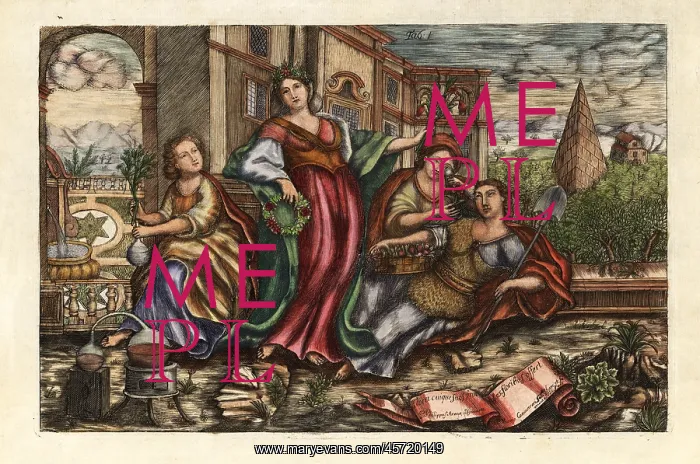 : Allegorical scene with Flora, Botany, Physics and Pomona : Allegorical scene with Flora, Botany, Physics and Pomona