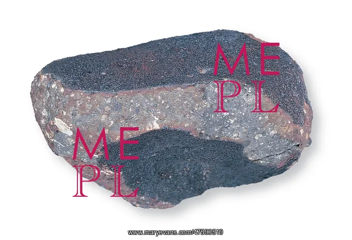 : The Allende carbonaceous chondrite : The Allende carbonaceous chondrite