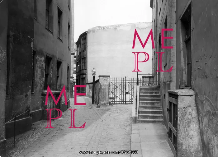 : Alley in Berlin, 1934 : Alley in Berlin, 1934
