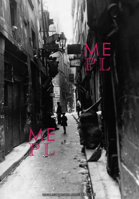 : Alley in Paris, 1929 : Alley in Paris, 1929