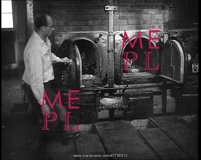  : Allied Dignitaries Examining the Incinerators