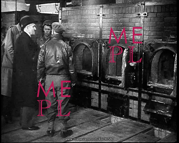 : Allied Dignitaries Examining the Incinerators : Allied Dignitaries Examining the Incinerators