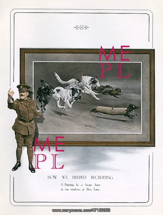 : ALLIED DOGS WW1 : ALLIED DOGS WW1