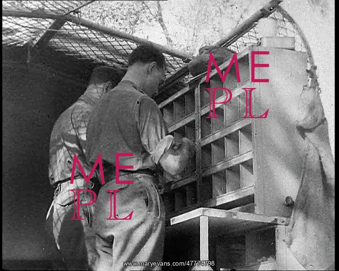 : Allied Soldiers Letters Being Sorted : Allied Soldiers Letters Being Sorted