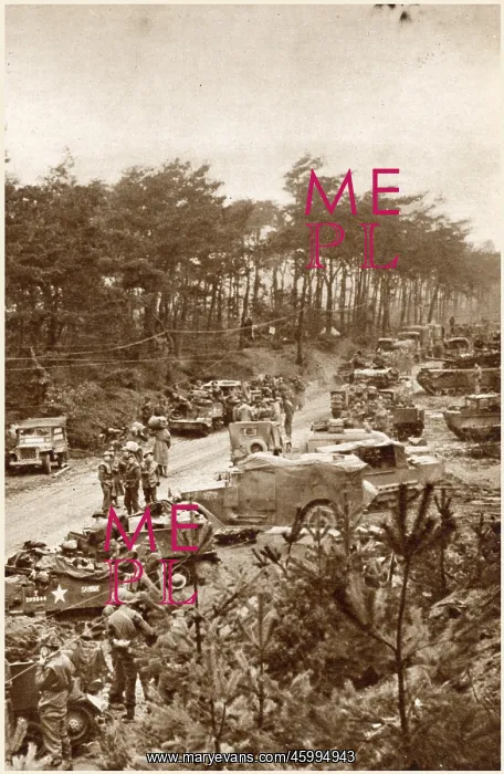 : Allied Troops in the Reichswald Forest; Second World War, 19 : Allied Troops in the Reichswald Forest; Second World War, 19
