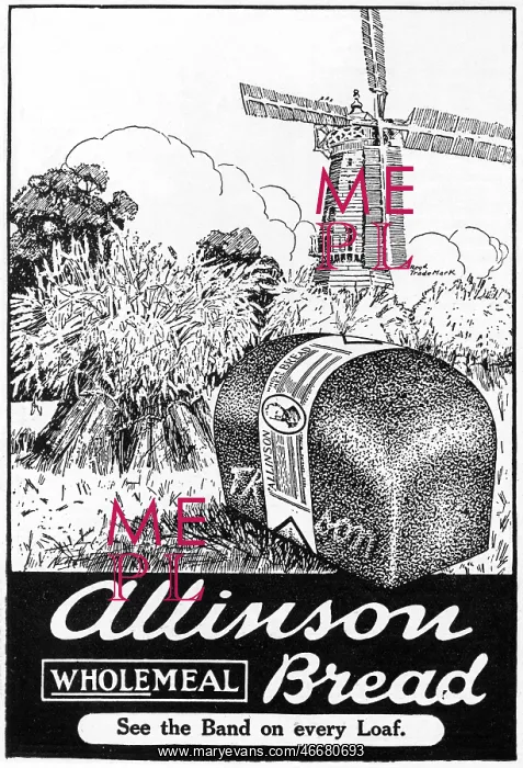 : Allinson wholemeal bread advertisement, WW1 : Allinson wholemeal bread advertisement, WW1