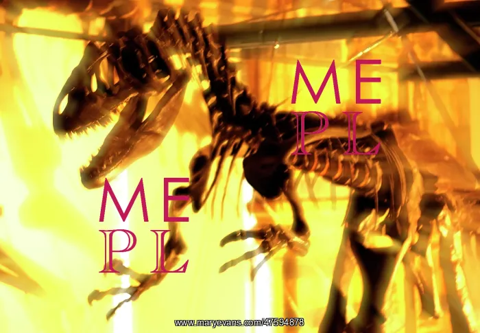 : Allosaurus : Allosaurus