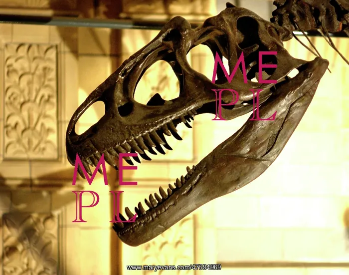 : Allosaurus : Allosaurus