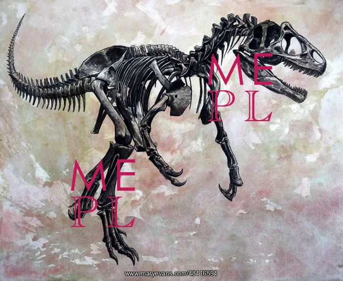 : Allosaurus dinosaur skeleton : Allosaurus dinosaur skeleton