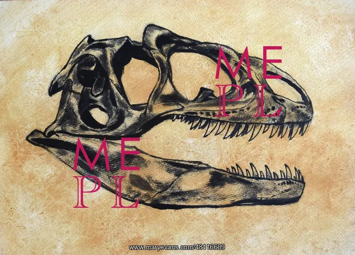  : Allosaurus dinosaur skull