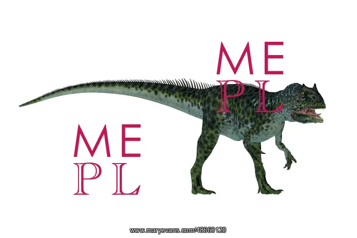 : Allosaurus dinosaur, side view on white background : Allosaurus dinosaur, side view on white background