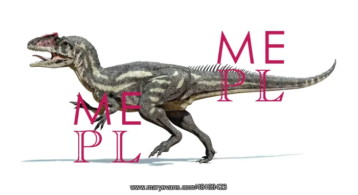 : Allosaurus dinosaur on white background : Allosaurus dinosaur on white background