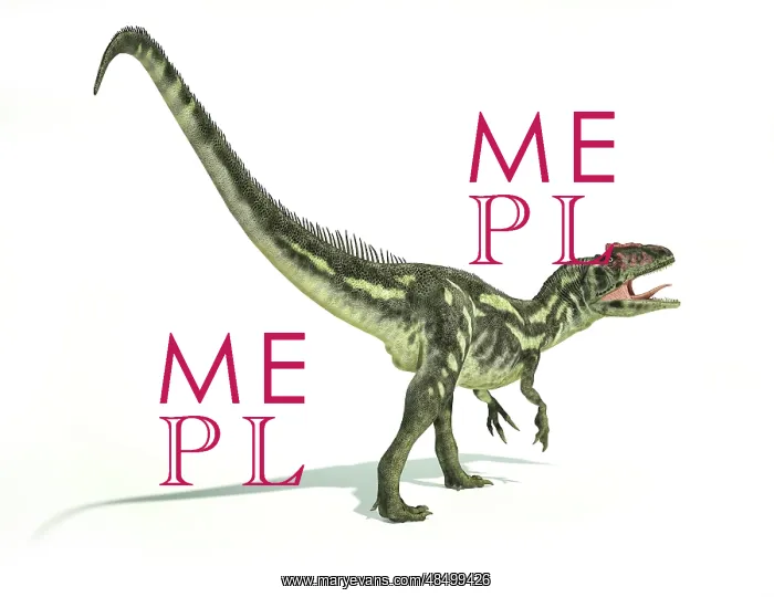 : Allosaurus dinosaur on white background : Allosaurus dinosaur on white background