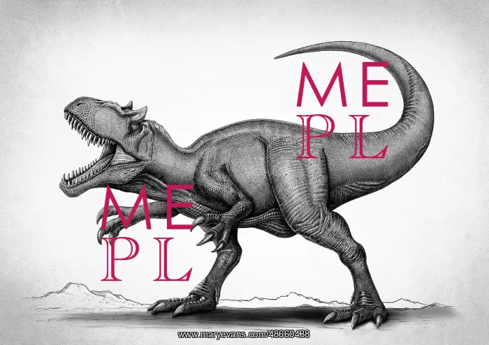 : Allosaurus fragilis dinosaur, black and white drawing : Allosaurus fragilis dinosaur, black and white drawing