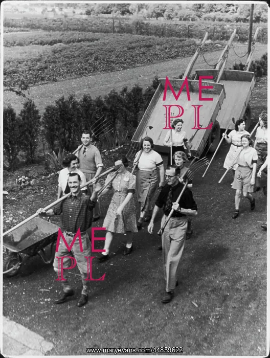 : ALLOTMENT WORKERS WW2 : ALLOTMENT WORKERS WW2