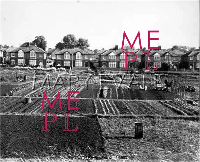  : ALLOTMENTS COWLEY 1967