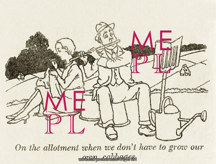: Empty allotments / W H Robinson : Empty allotments / W H Robinson