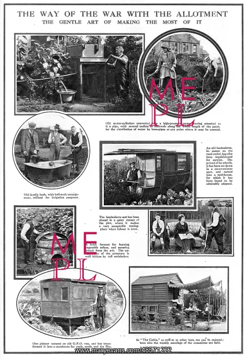 : Allotments WW1 : Allotments WW1