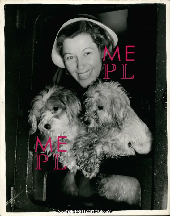 : Alma Michaels with dogs, Bertram Mills Circus : Alma Michaels with dogs, Bertram Mills Circus