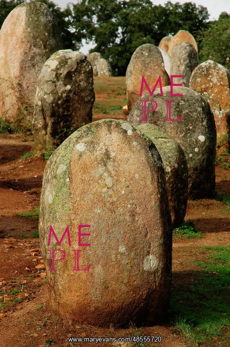 : Almendres Cromlech. Megalithic complex. Neolithic. Near Evor : Almendres Cromlech. Megalithic complex. Neolithic. Near Evor