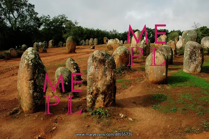 : Almendres Cromlech. Megalithic complex. Neolithic. Near Evor : Almendres Cromlech. Megalithic complex. Neolithic. Near Evor