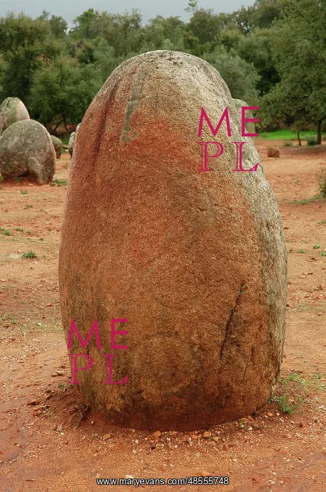 : Almendres Cromlech. Megalithic complex. Neolithic. Near Evor : Almendres Cromlech. Megalithic complex. Neolithic. Near Evor