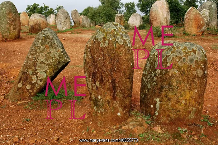 : Almendres Cromlech. Megalithic complex. Neolithic. Near Evor : Almendres Cromlech. Megalithic complex. Neolithic. Near Evor